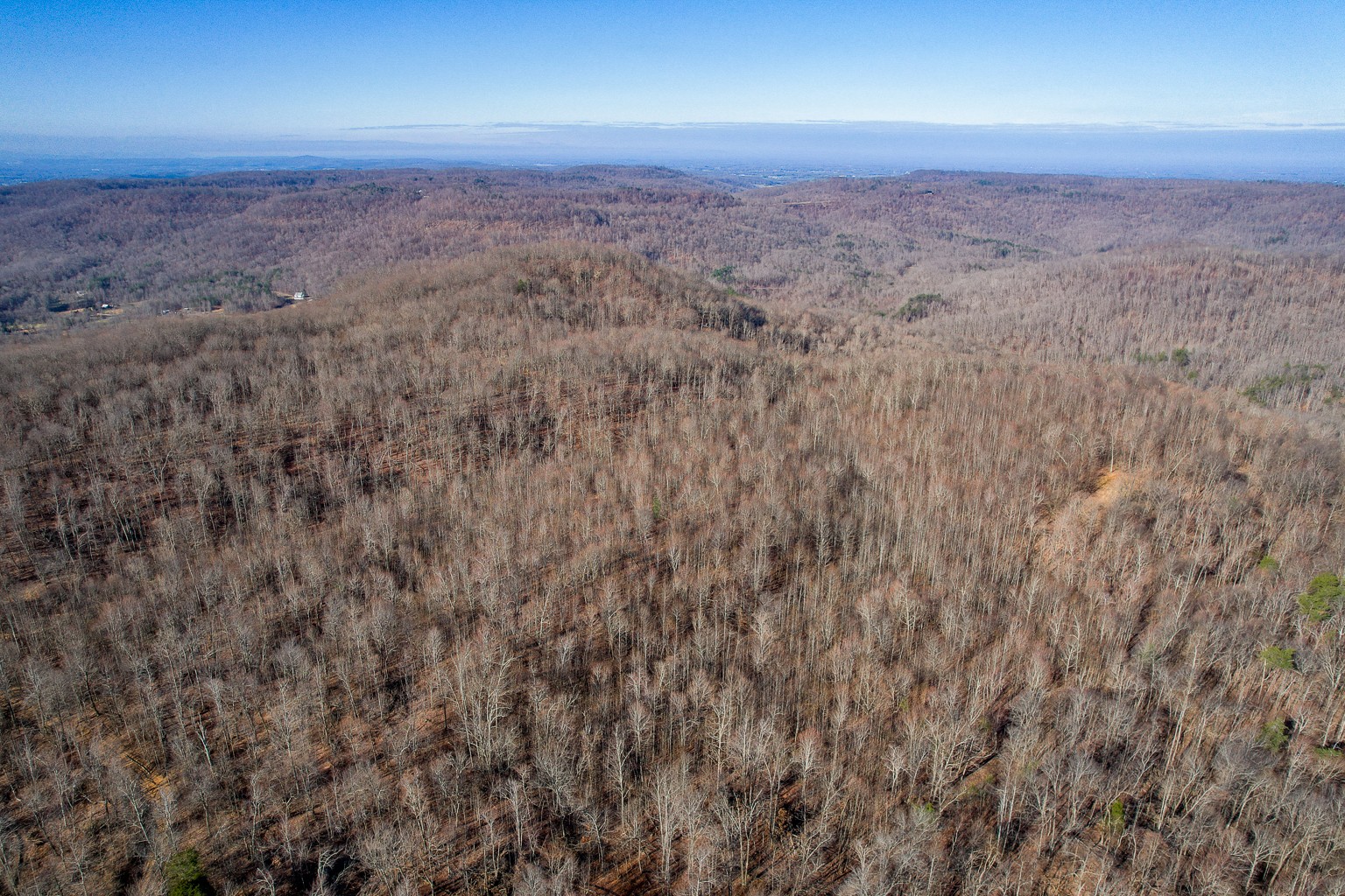 0 Board Valley Road Monterey, TN 38574 - Photo 12 of 32 Gallery Image 12