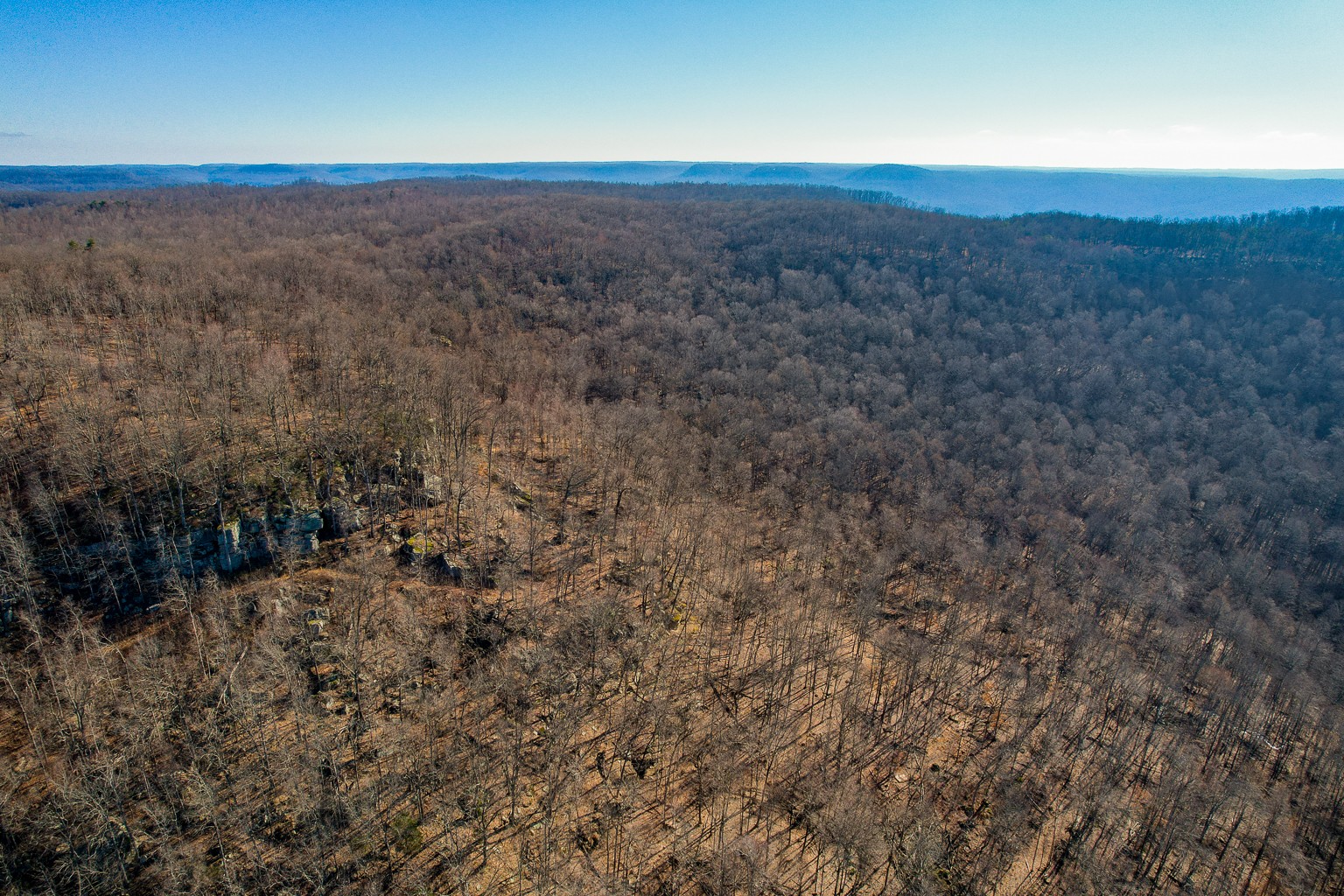 0 Board Valley Road Monterey, TN 38574 - Photo 17 of 32 Gallery Image 17