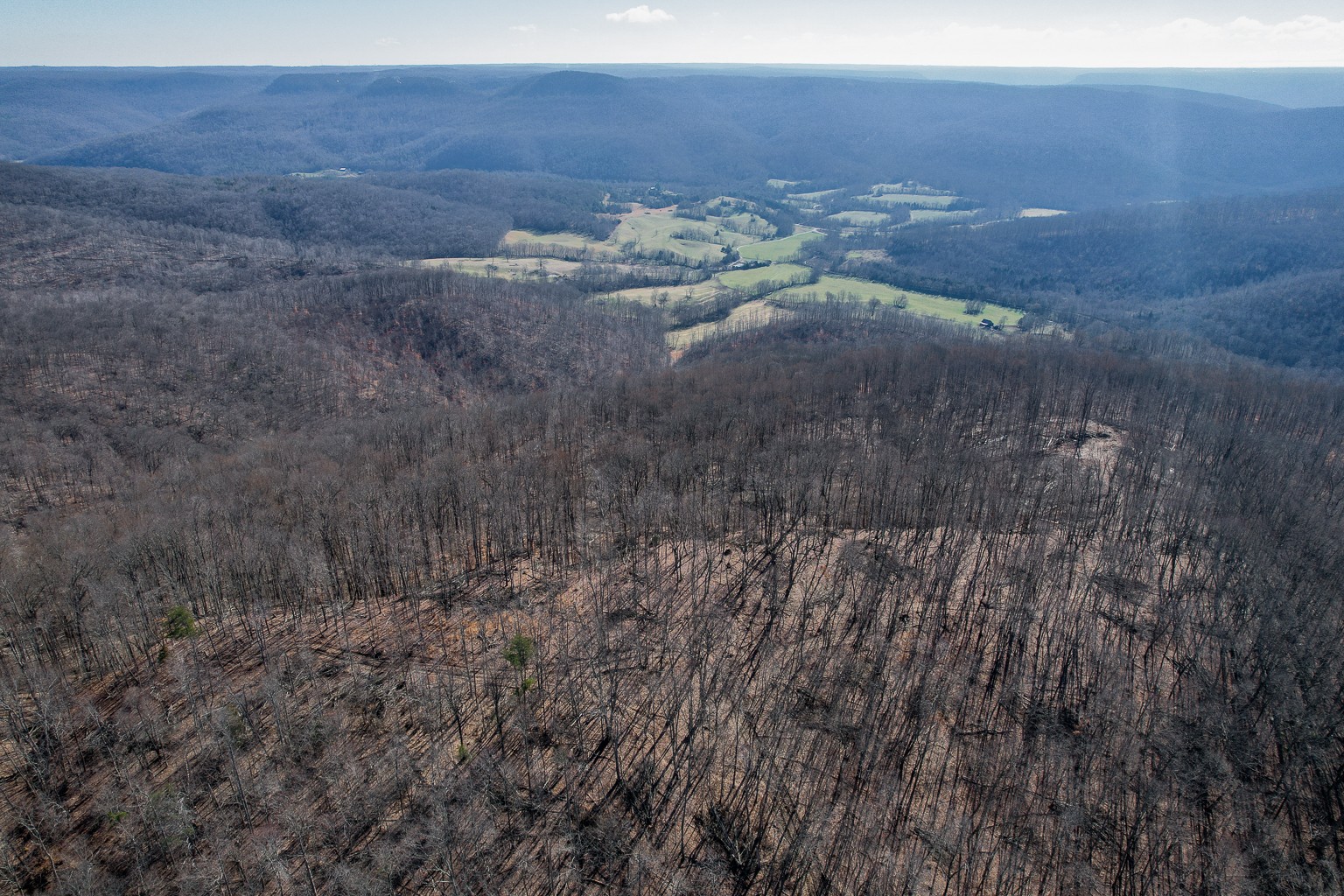 0 Board Valley Road Monterey, TN 38574 - Photo 20 of 32 Gallery Image 20