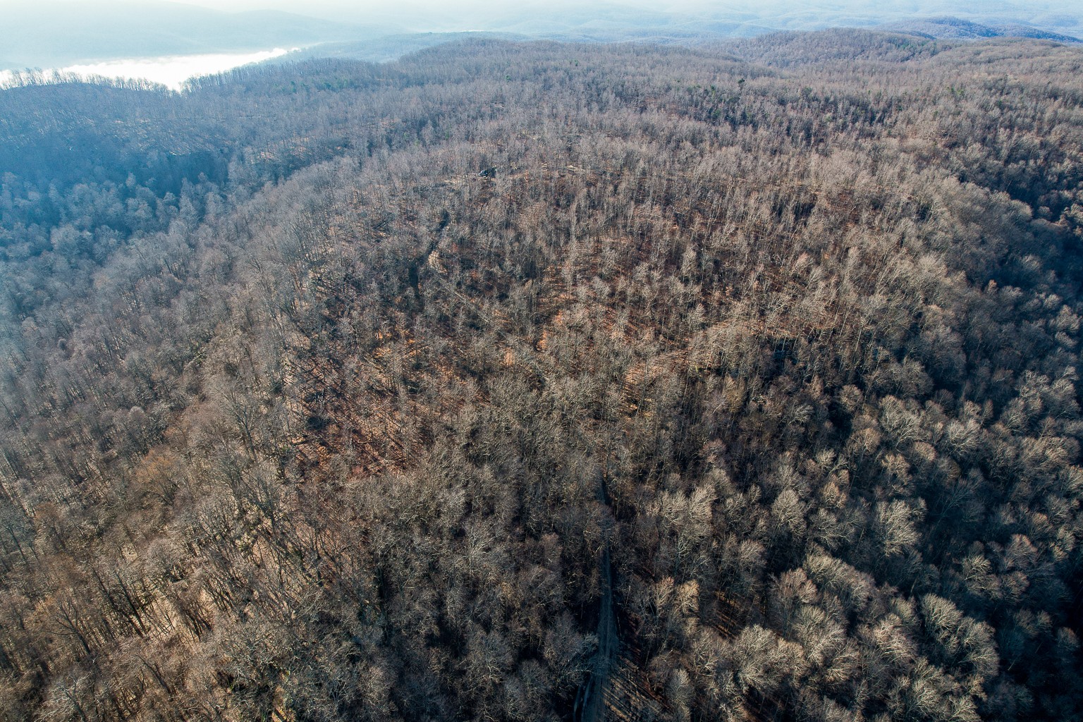 0 Board Valley Road Monterey, TN 38574 - Photo 2 of 32 Gallery Image 2