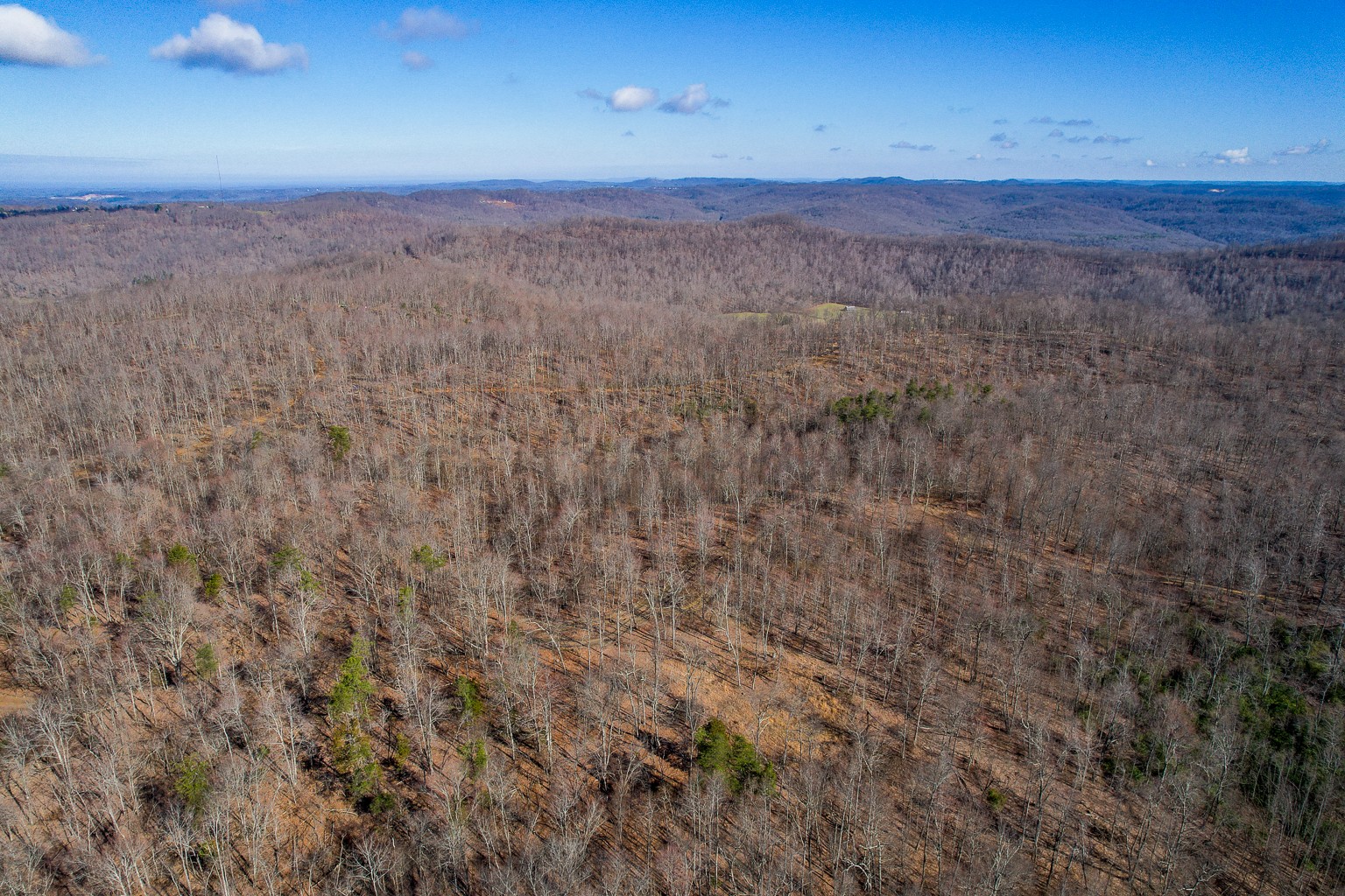 0 Board Valley Road Monterey, TN 38574 - Photo 24 of 32 Gallery Image 24