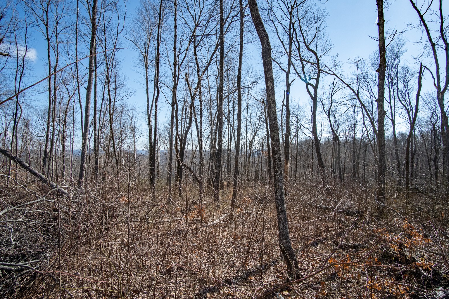0 Board Valley Road Monterey, TN 38574 - Photo 25 of 32 Gallery Image 25
