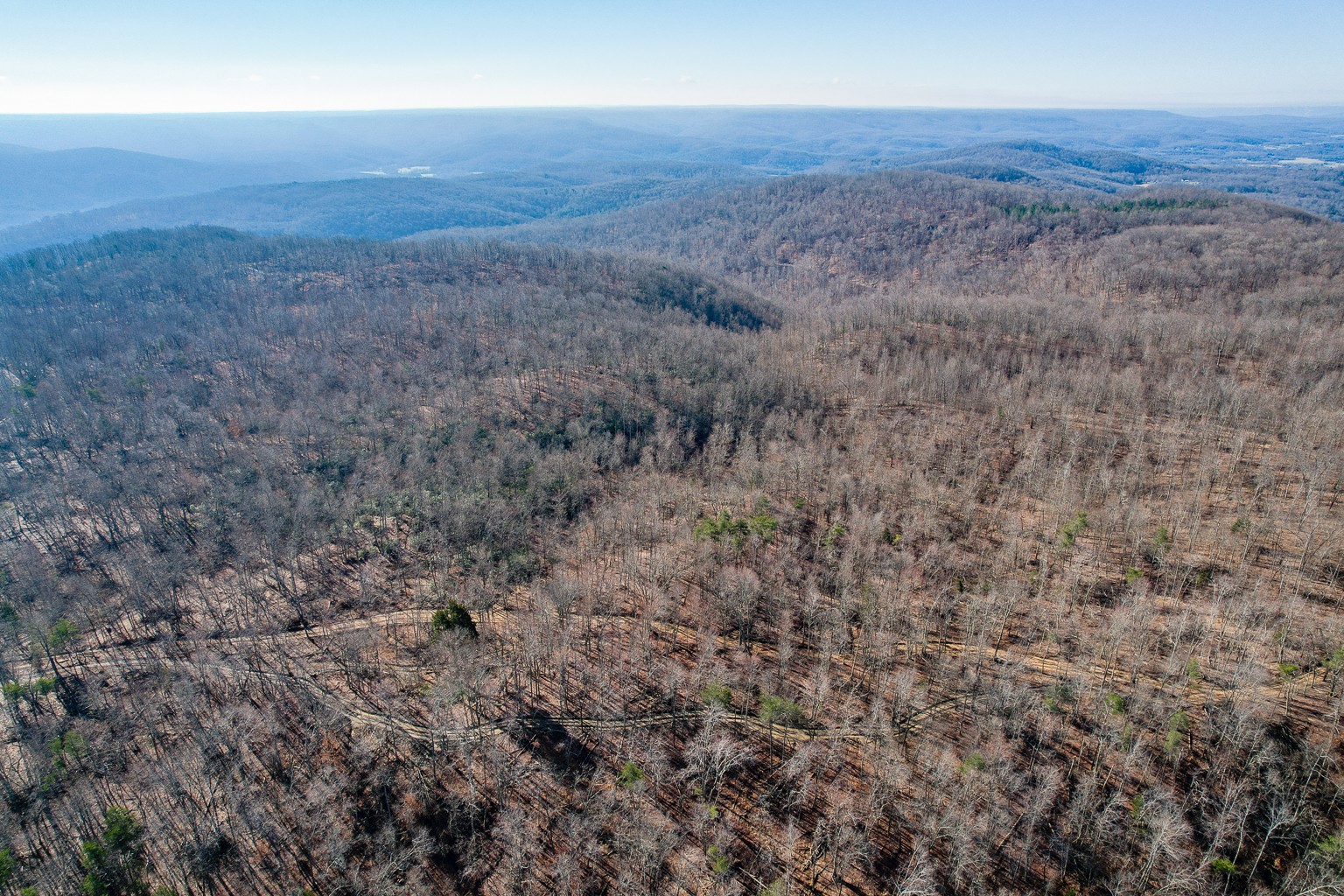 0 Board Valley Road Monterey, TN 38574 - Photo 10 of 32 Gallery Image 10