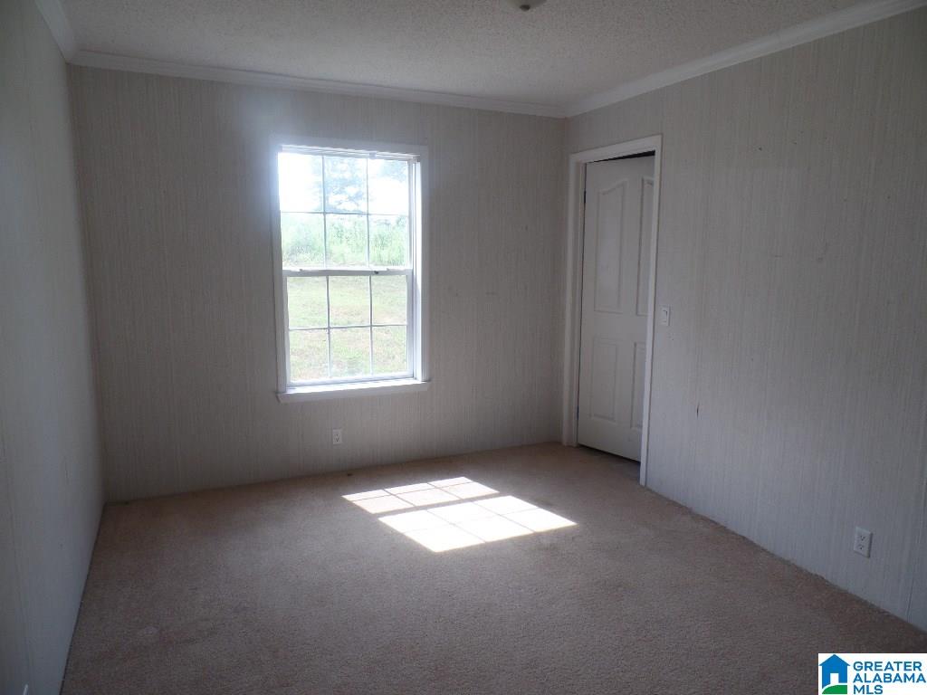 620 Commissary Road Warrior, AL 35180 - Photo 3 of 13