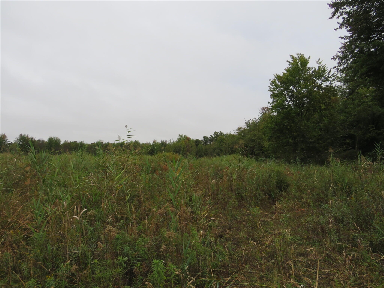 Vl Mcclure Road Eaton Rapids, MI 48827 - Photo 26 of 72