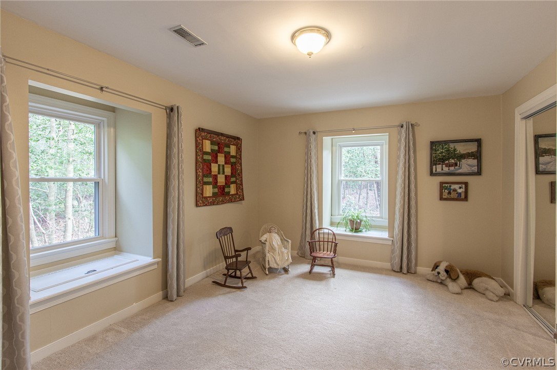 209 Sheffield Road Williamsburg, VA 23188 - Photo 39 of 48 Gallery Image 39