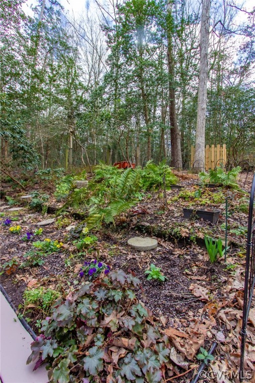 209 Sheffield Road Williamsburg, VA 23188 - Photo 45 of 48 Gallery Image 45