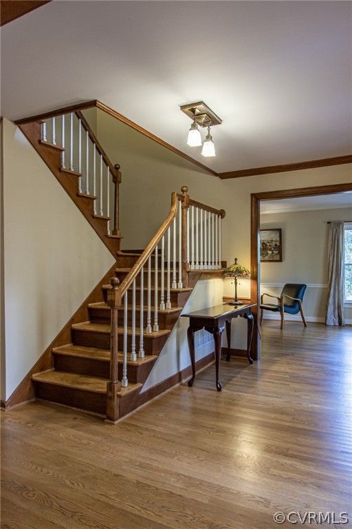 209 Sheffield Road Williamsburg, VA 23188 - Photo 5 of 48 Gallery Image 5