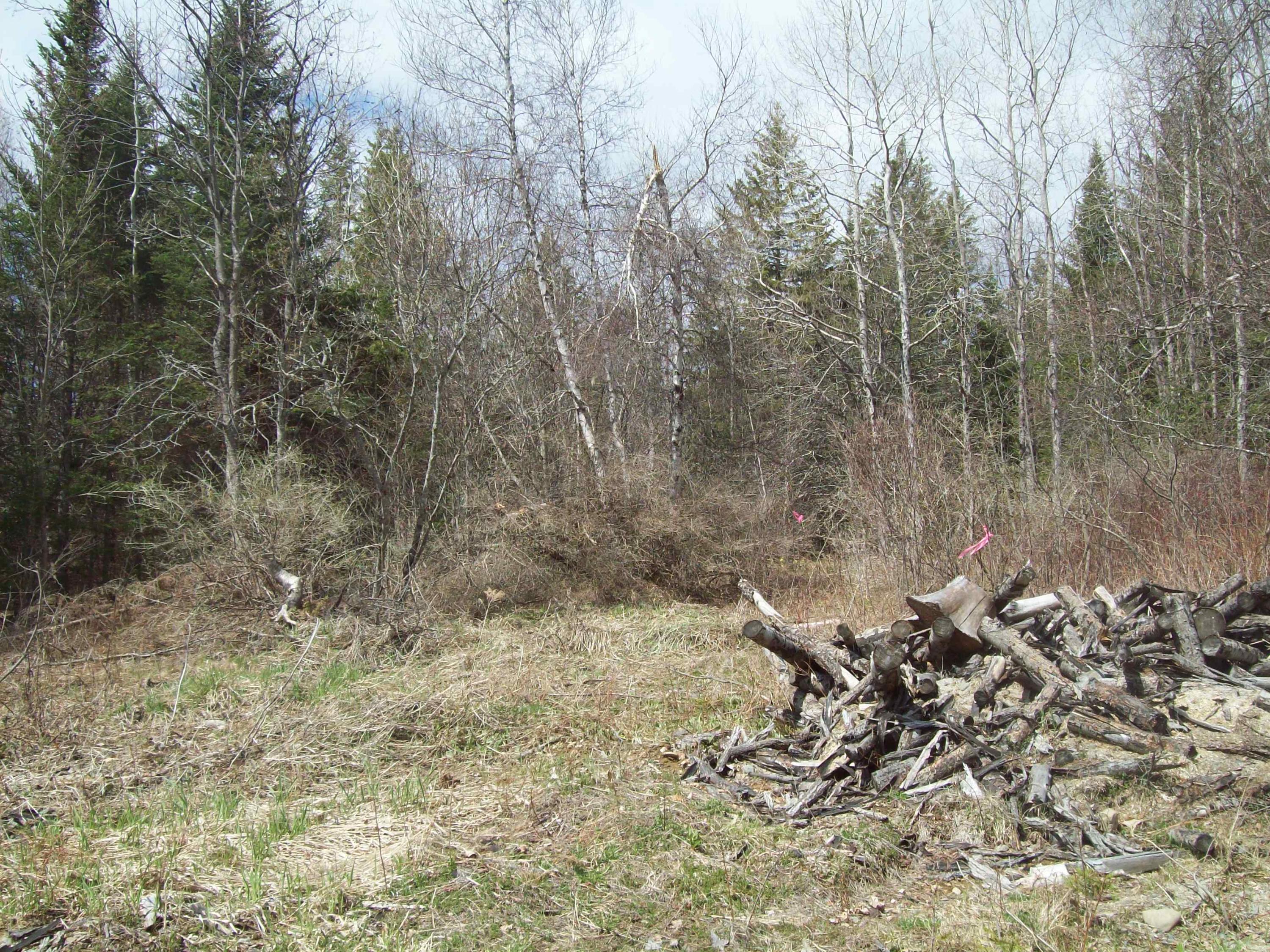 Tbd Sheepskin Road Carroll Plt, ME 04487 - Photo 11 of 23 100_1796