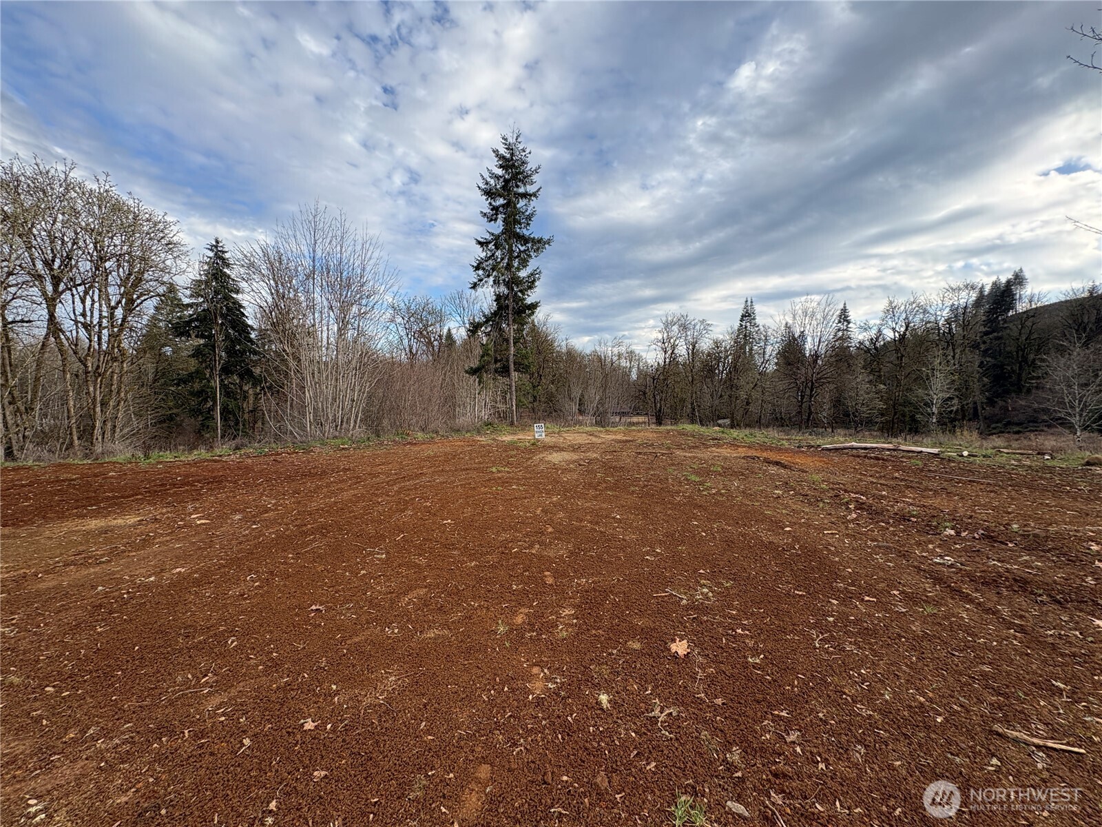 155 Benson Lane Castle Rock, WA 98611 - Photo 5 of 9 a view of dirt field with trees around