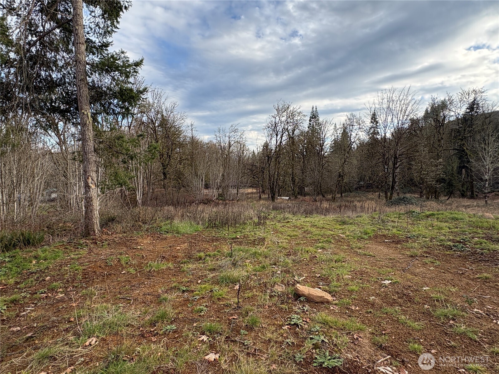 155 Benson Lane Castle Rock, WA 98611 - Photo 7 of 9 a view of outdoor space with trees