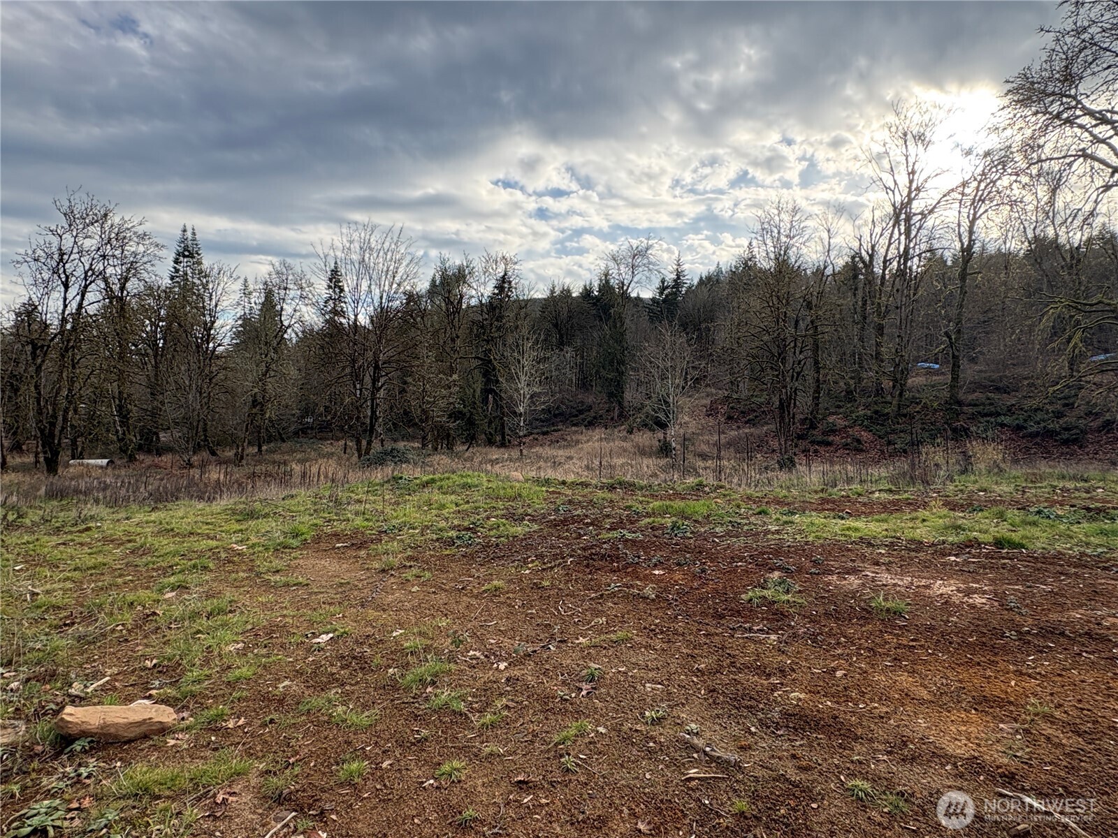 155 Benson Lane Castle Rock, WA 98611 - Photo 8 of 9 a view of outdoor space with trees