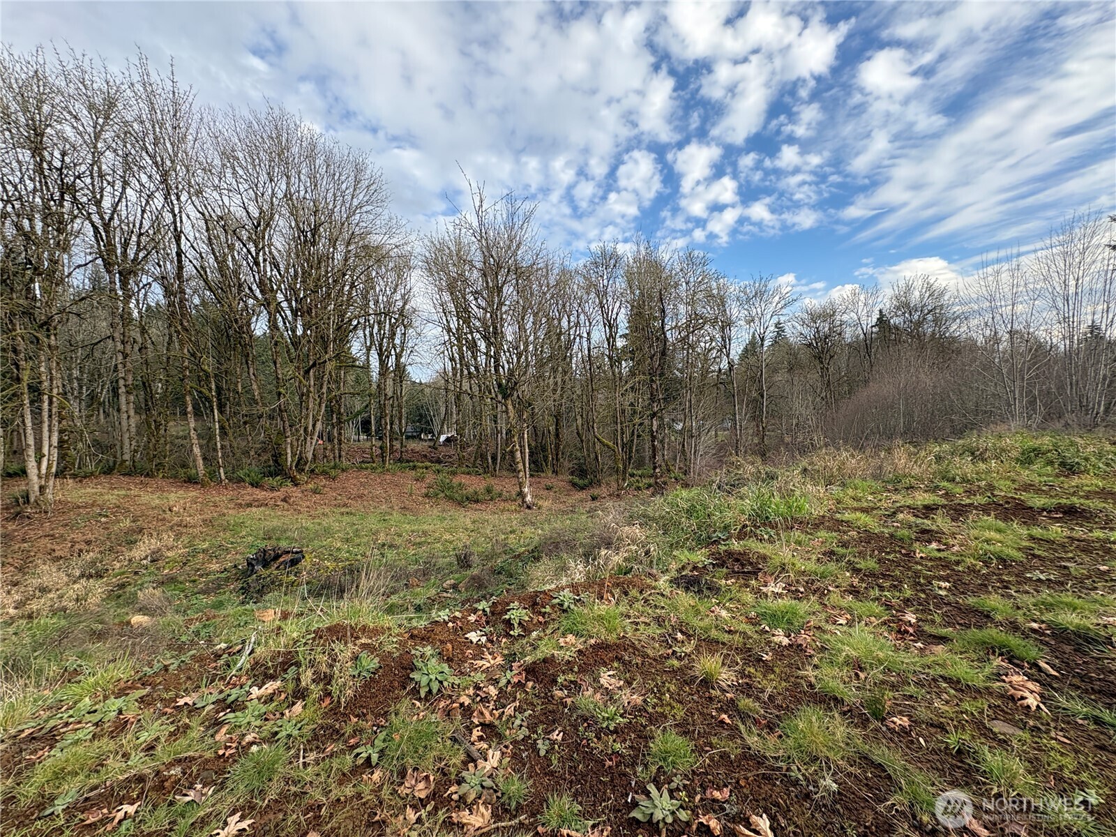 155 Benson Lane Castle Rock, WA 98611 - Photo 9 of 9 a view of a green field
