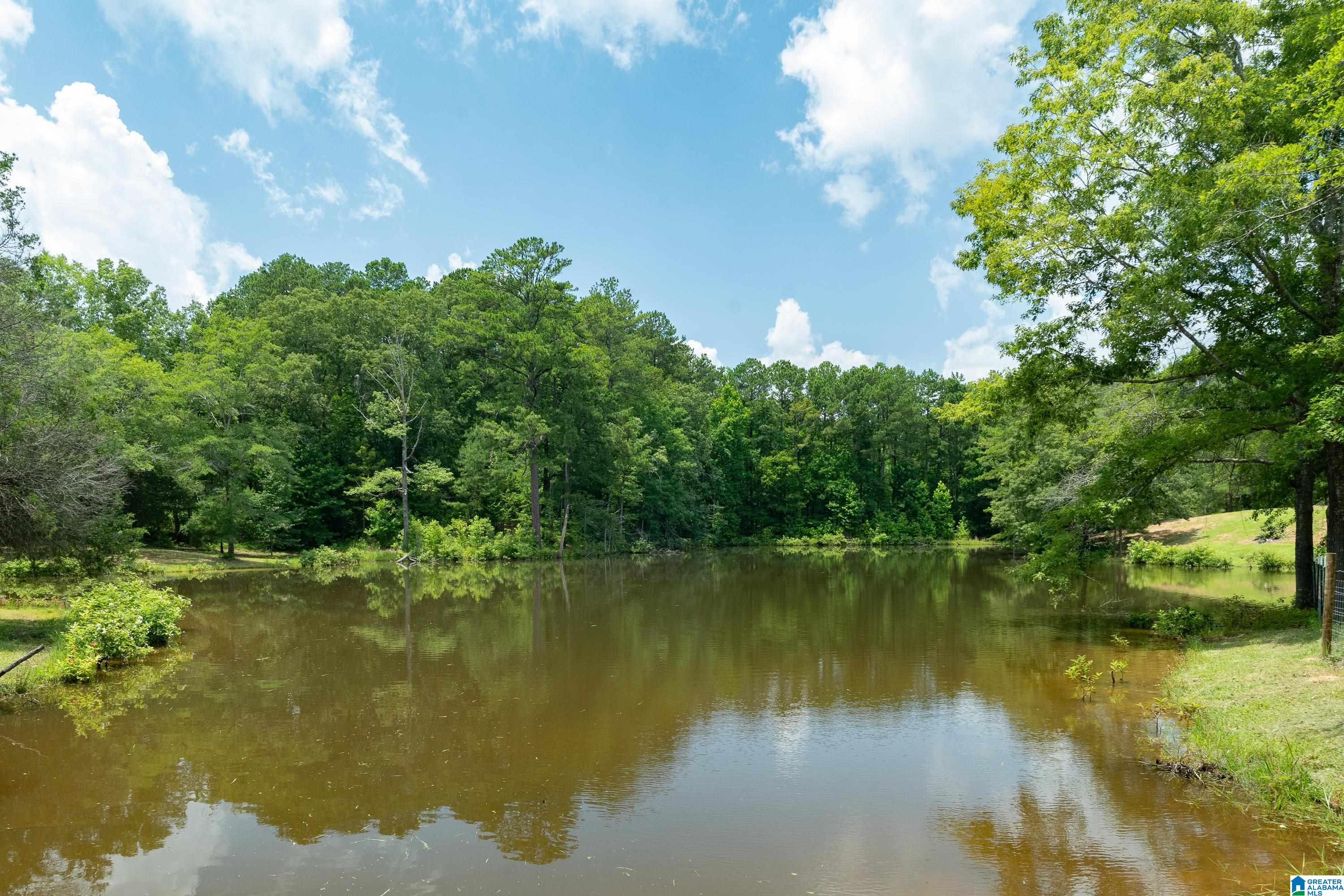 340 Lake Cottage Road Sterrett, AL 35147 - Photo 56 of 83