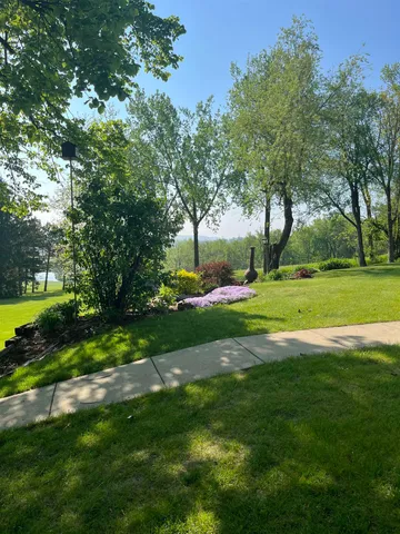 a view of a park with large trees