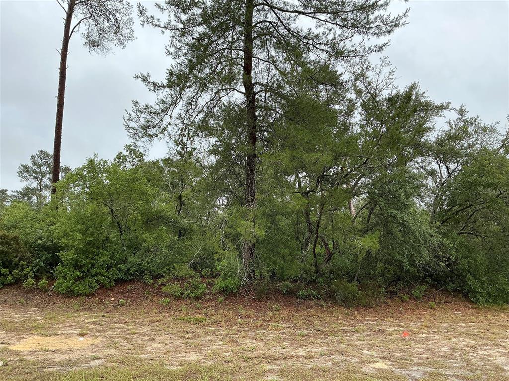 Southwest 20th Court Ocala, FL 34473 - Photo 1 of 8
