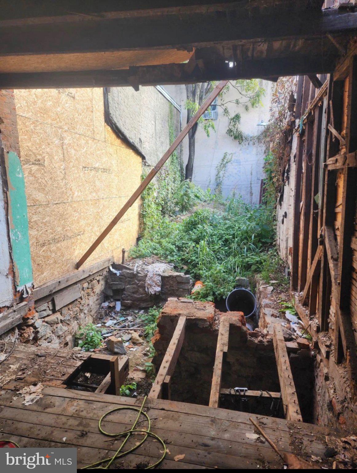3619 Richmond Street Philadelphia, PA 19134 - Photo 1 of 7 Urban Oasis: Nature Reclaims Space