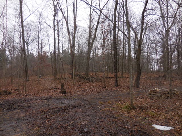 23024 Campbell Road Spencerville, IN 46788 - Photo 23 of 32 Gallery Image 23