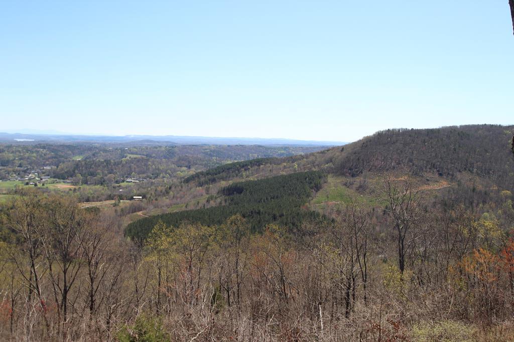 447 Winding Ridge Trail Dayton, TN 37321 - Photo 78 of 79 900
