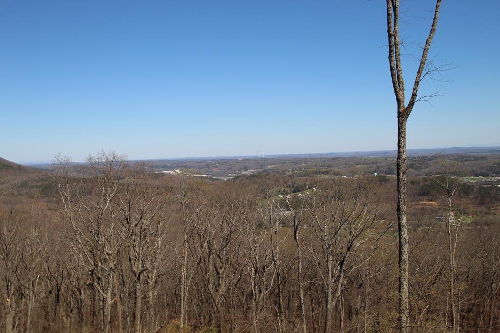 447 Winding Ridge Trail Dayton, TN 37321 - Photo 79 of 79 1000
