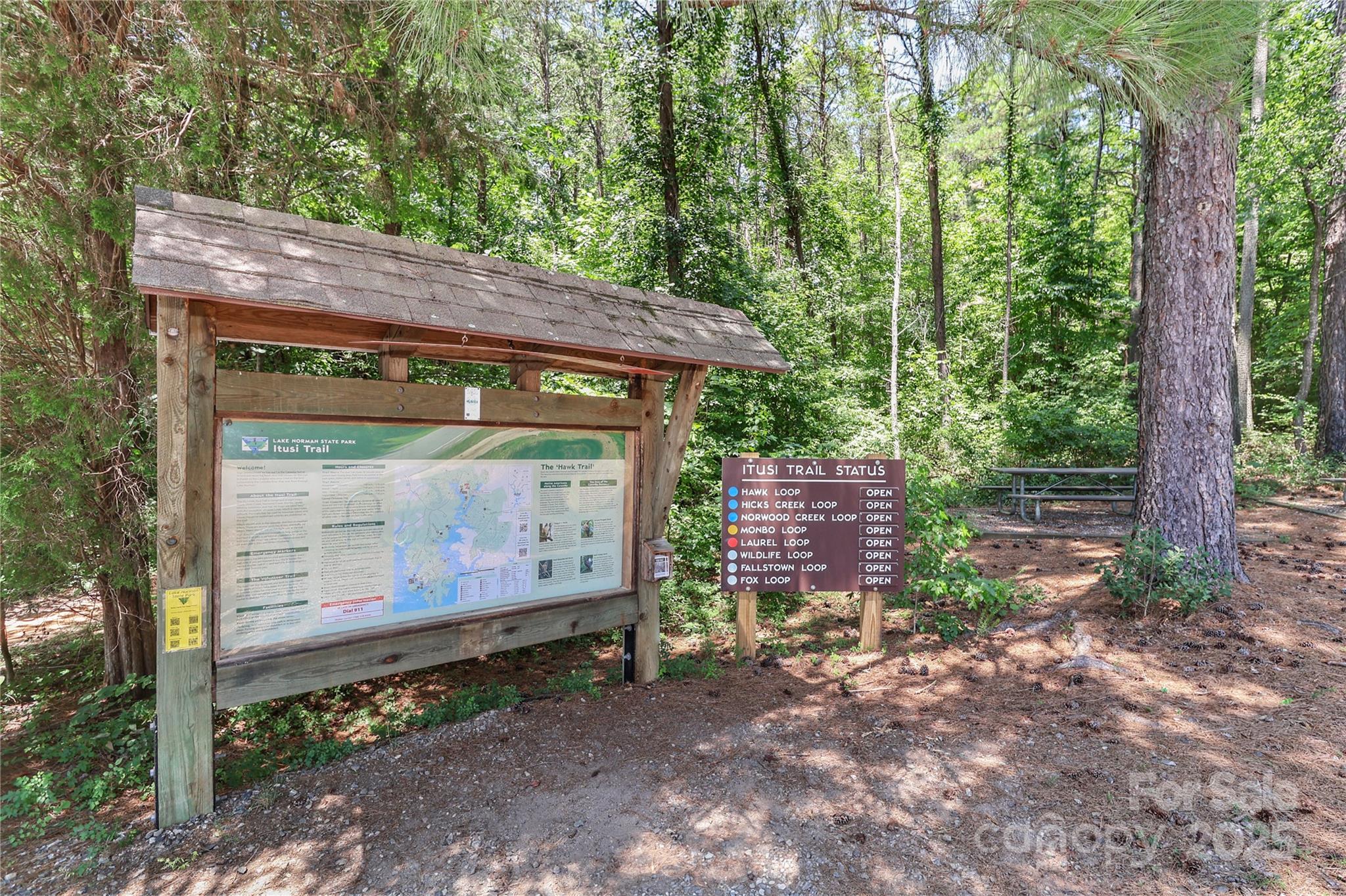496 Kenway Loop Mooresville, NC 28117 - Photo 20 of 32 a backyard of a house with barbeque oven