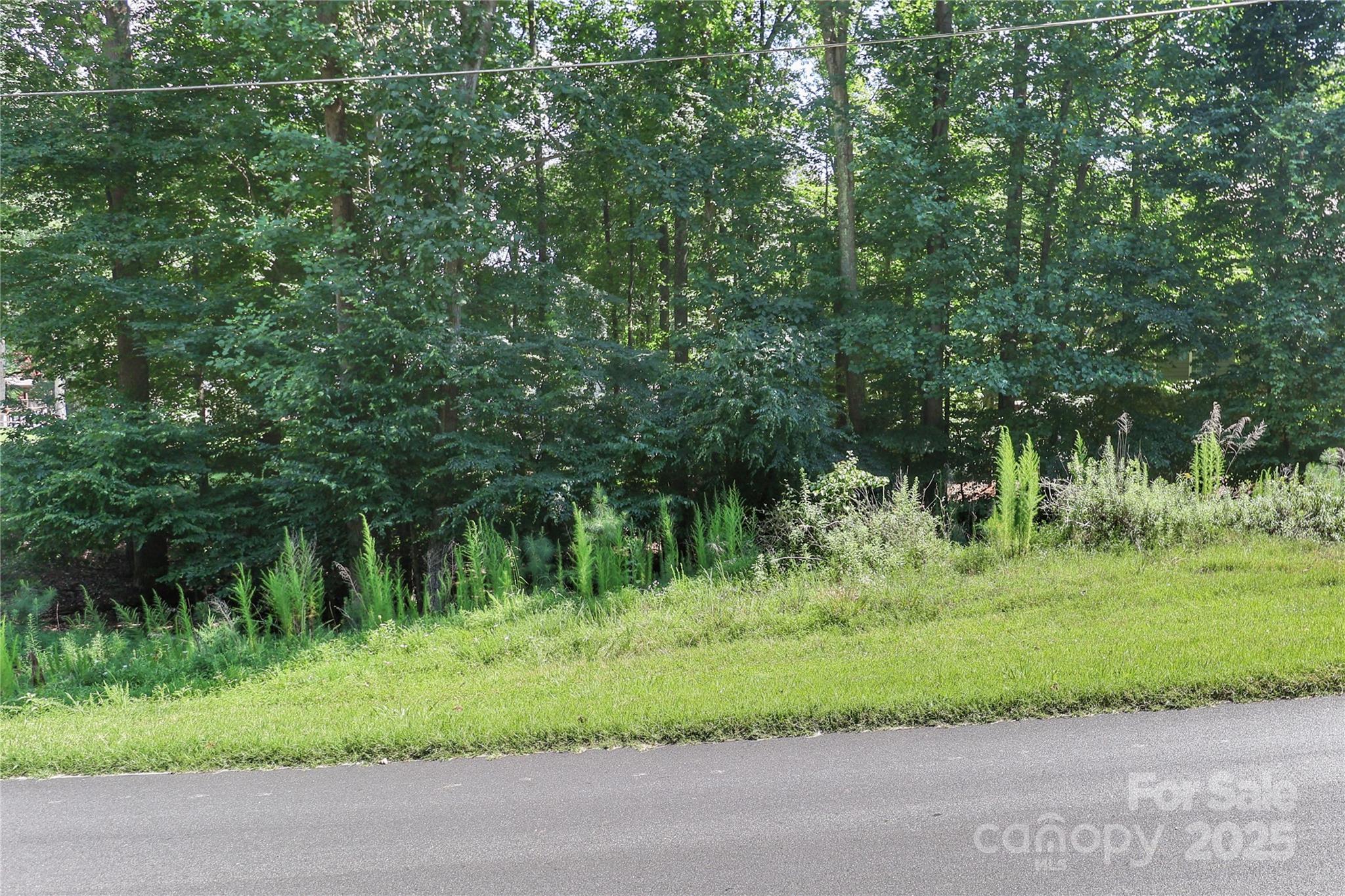 496 Kenway Loop Mooresville, NC 28117 - Photo 8 of 32 a view of a lush green forest