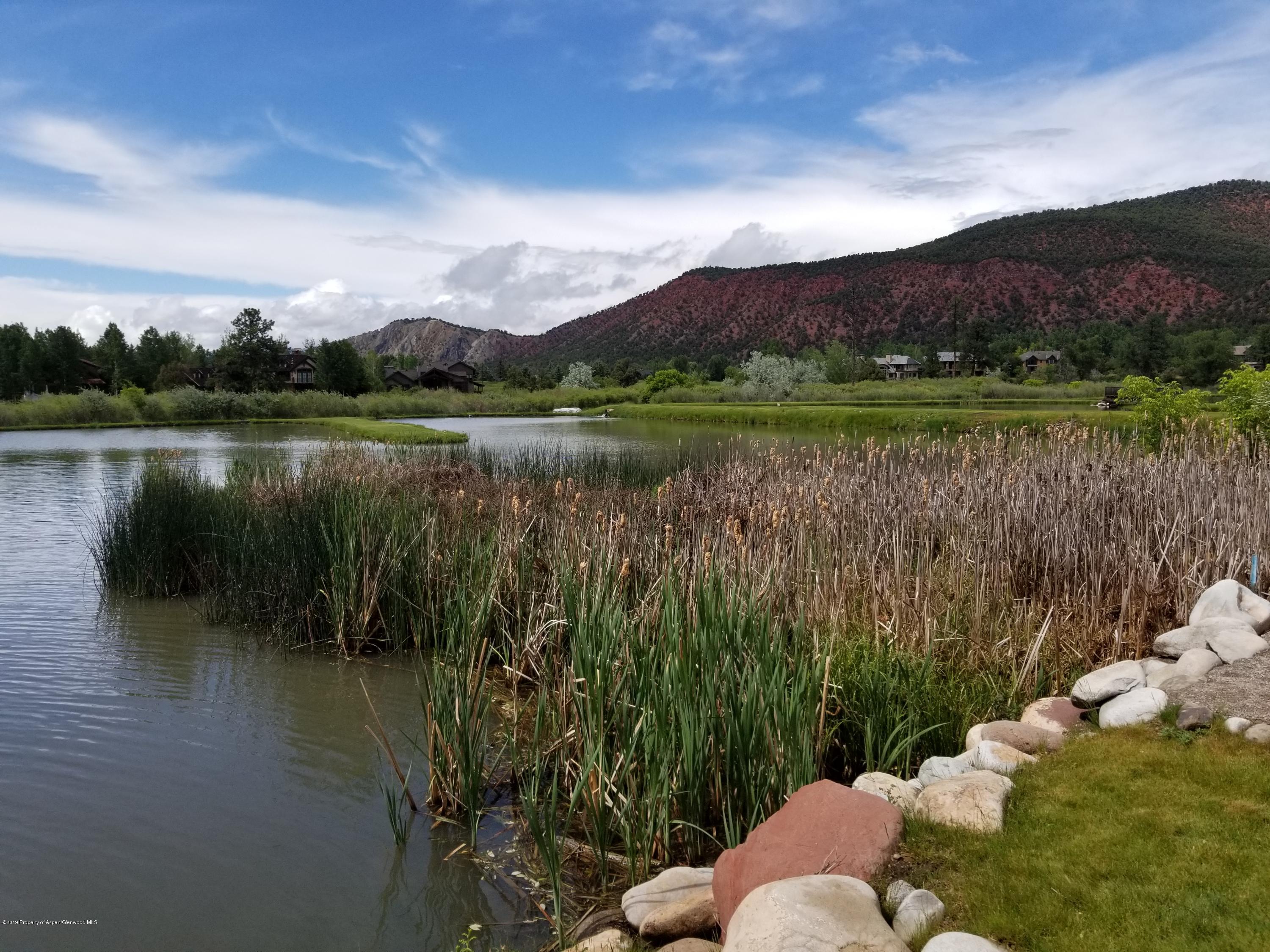 437 Coryell Ranch Road Carbondale, CO 81623 - Photo 9 of 11 Coryell Pond-close up