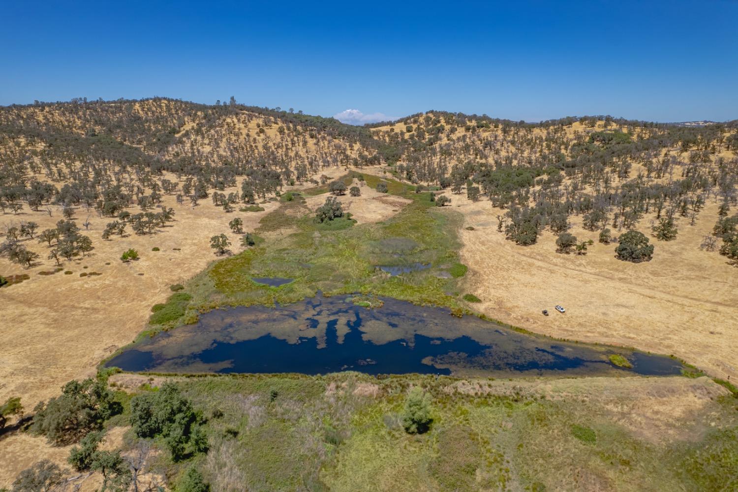 27044 McCourtney Road Grass Valley, CA 95949 - Photo 7 of 74