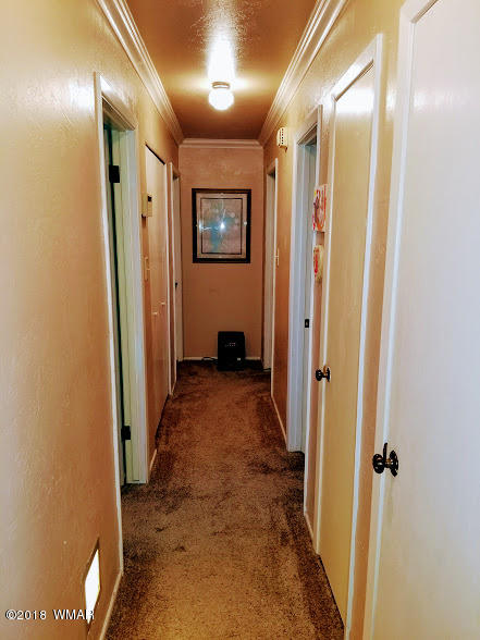 459 South Butler Drive Springerville, AZ 85938 - Photo 16 of 16