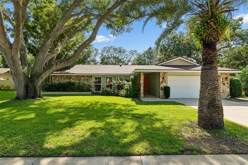 515 Sandy Hook Road Palm Harbor, FL 34683 - Photo 23 of 83 Gallery Image 23