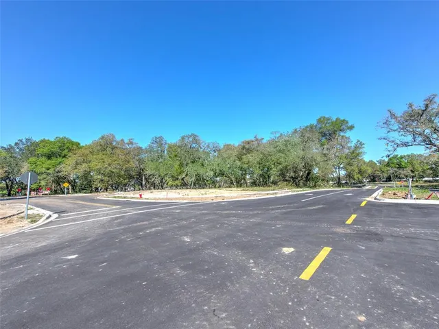a view of a street with a trees