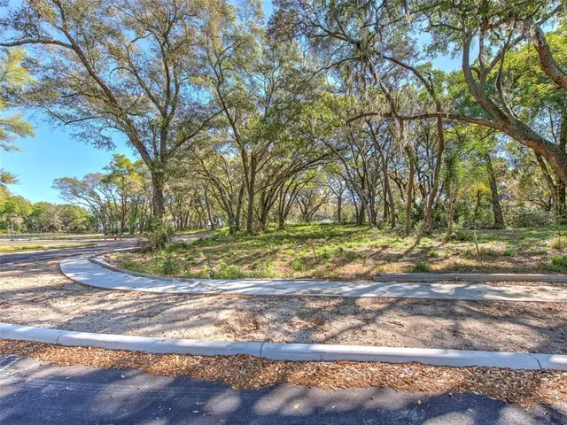a view of a yard with green space
