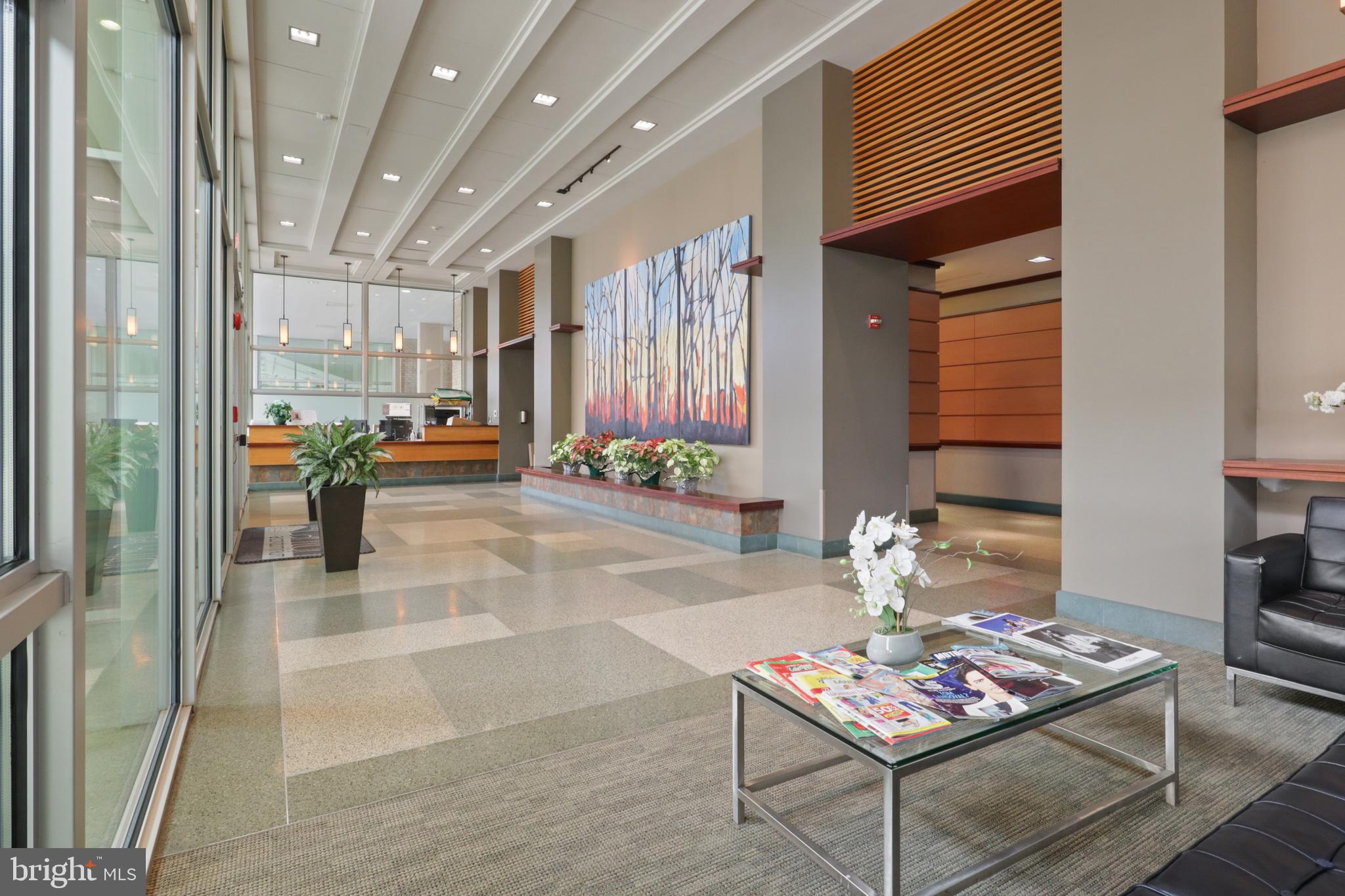 4600 South Four Mile Run Drive, Unit 207 Arlington, VA 22204 - Photo 21 of 53 a living room with furniture and a potted plant