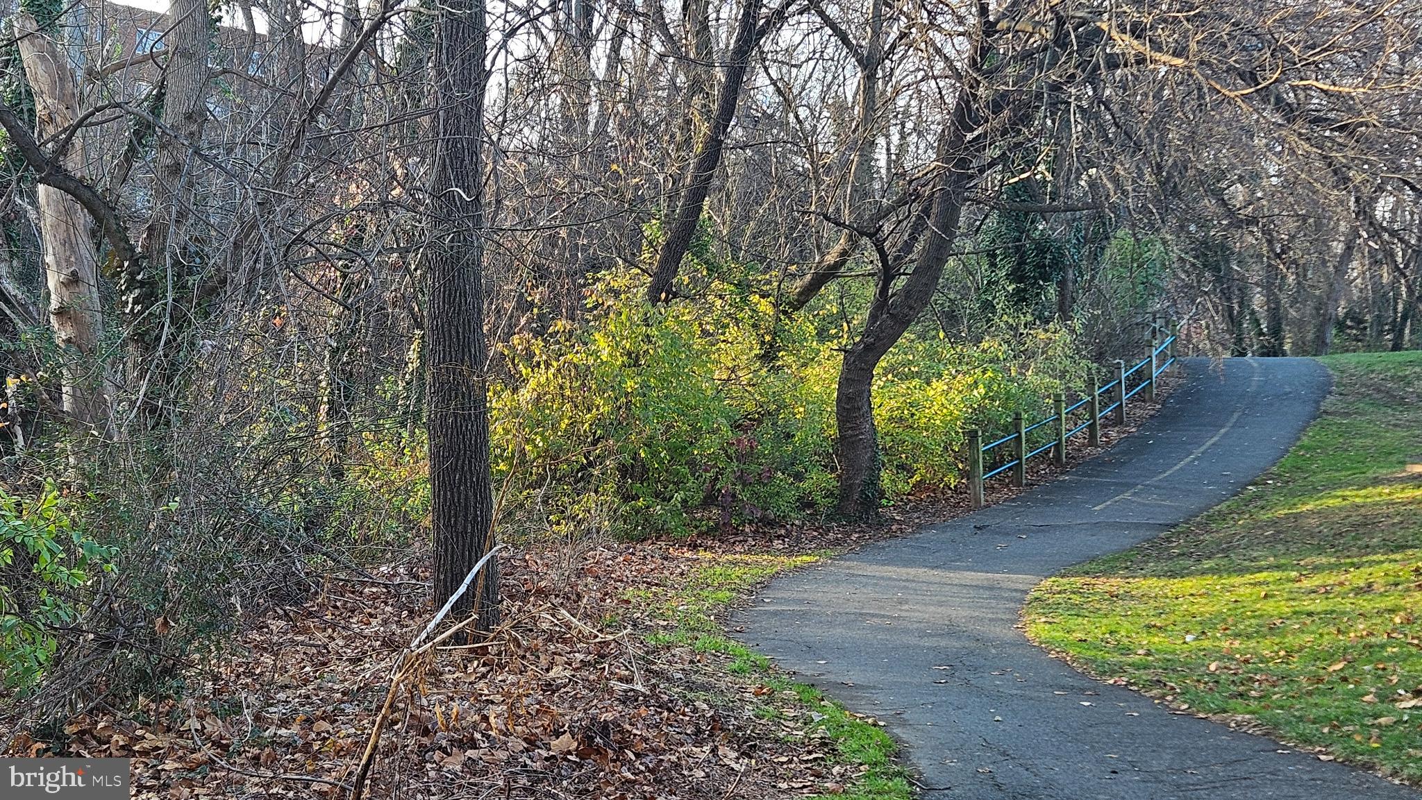 4600 South Four Mile Run Drive, Unit 207 Arlington, VA 22204 - Photo 34 of 53 a pathway of a yard