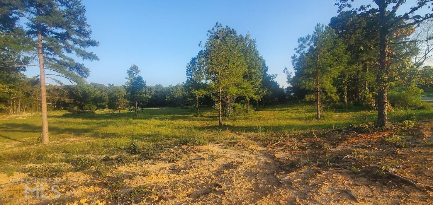 a view of a park
