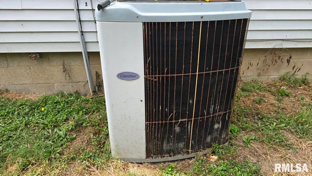 650 Old Rte 146 Loop, Vienna, IL 62995