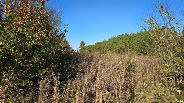 650 Old Rte 146 Loop, Vienna, IL 62995