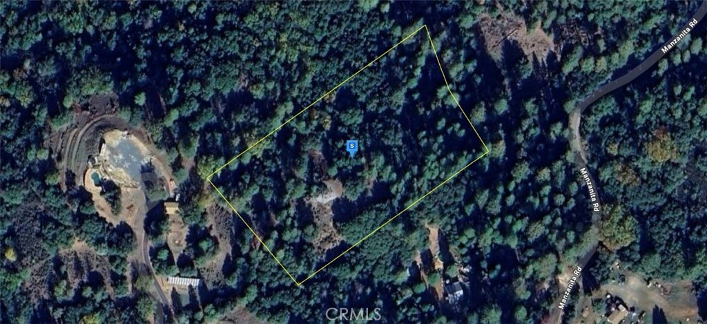 a view of a tree in a lots of trees