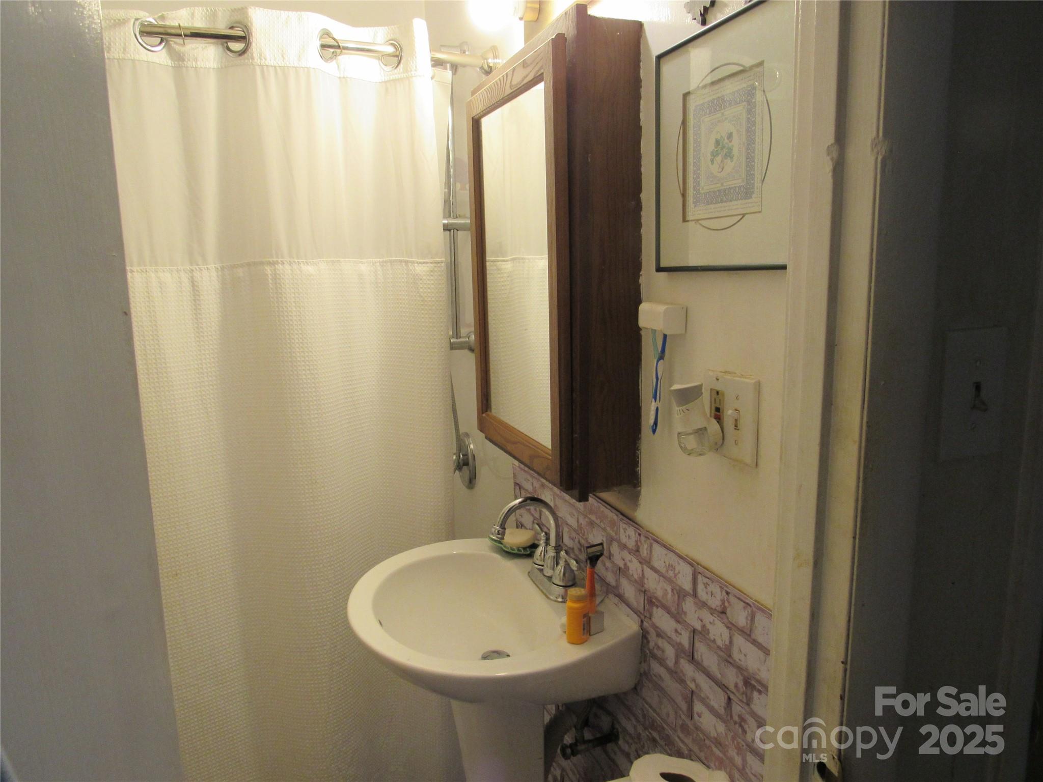 1144 Montreat Road Black Mountain, NC 28711 - Photo 20 of 30 a bathroom with a sink and a mirror
