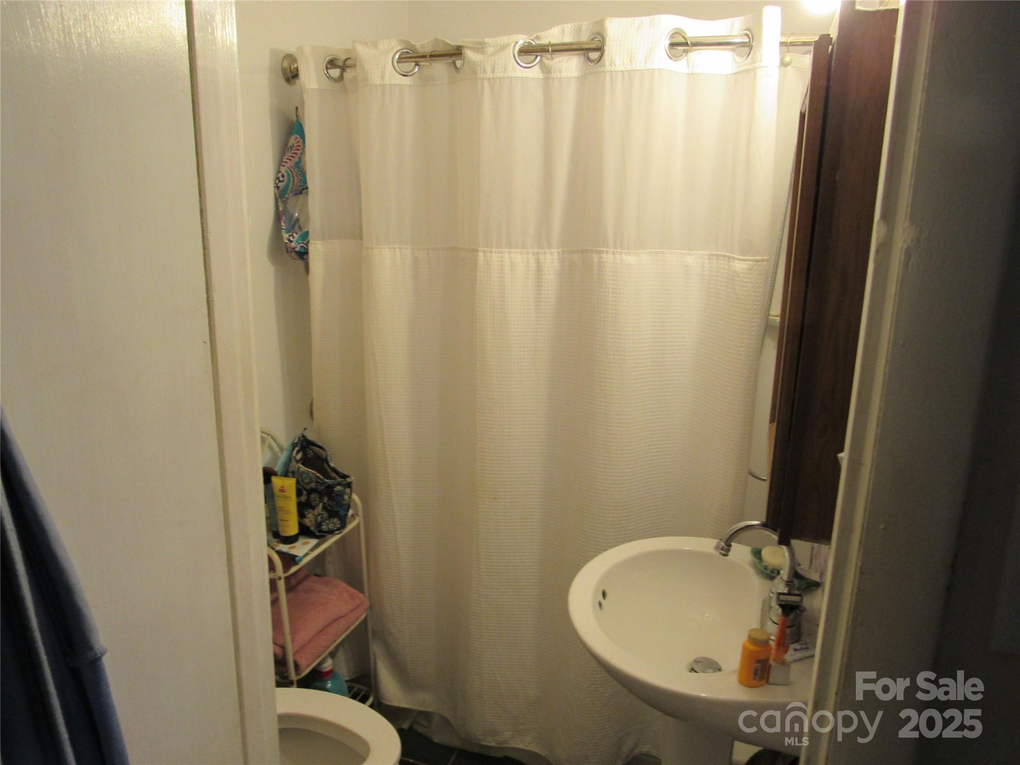 1144 Montreat Road Black Mountain, NC 28711 - Photo 21 of 30 a bathroom with a sink and a tub