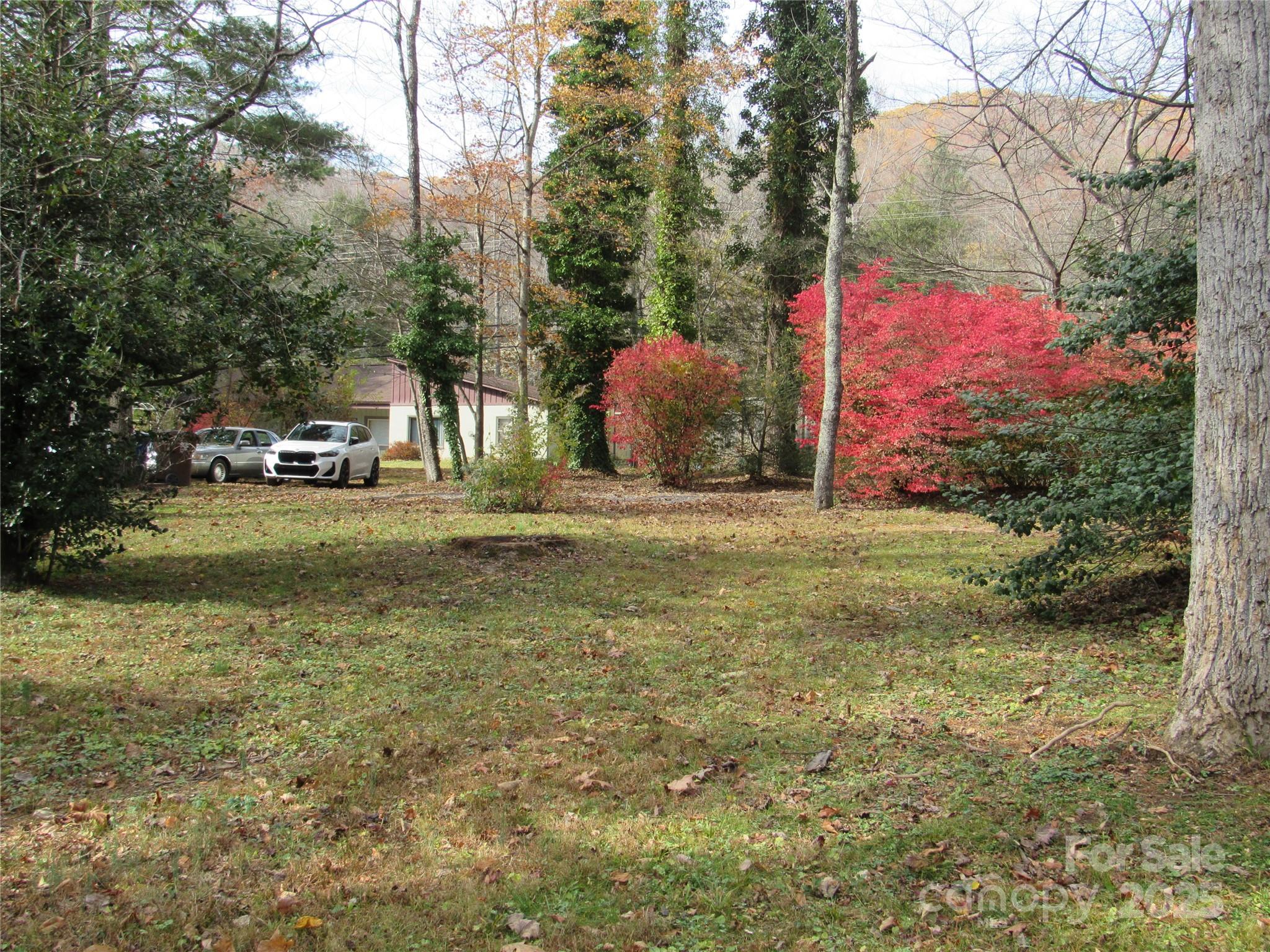 1144 Montreat Road Black Mountain, NC 28711 - Photo 4 of 30 a view of yard with tree and car parked