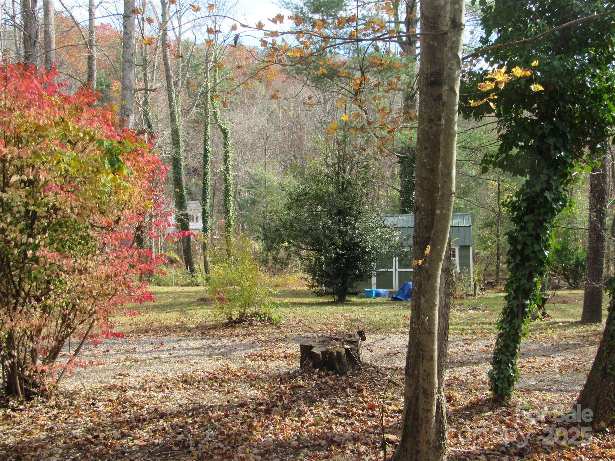 1144 Montreat Road Black Mountain, NC 28711 - Photo 5 of 30 a view of a yard with large trees