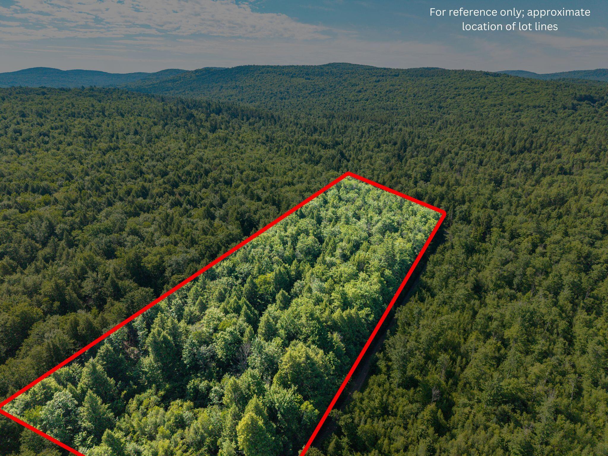 129 Hobbs Swamp Road Parsonsfield, ME 04047 - Photo 3 of 11 Hobb_Swamp_Rd_010B