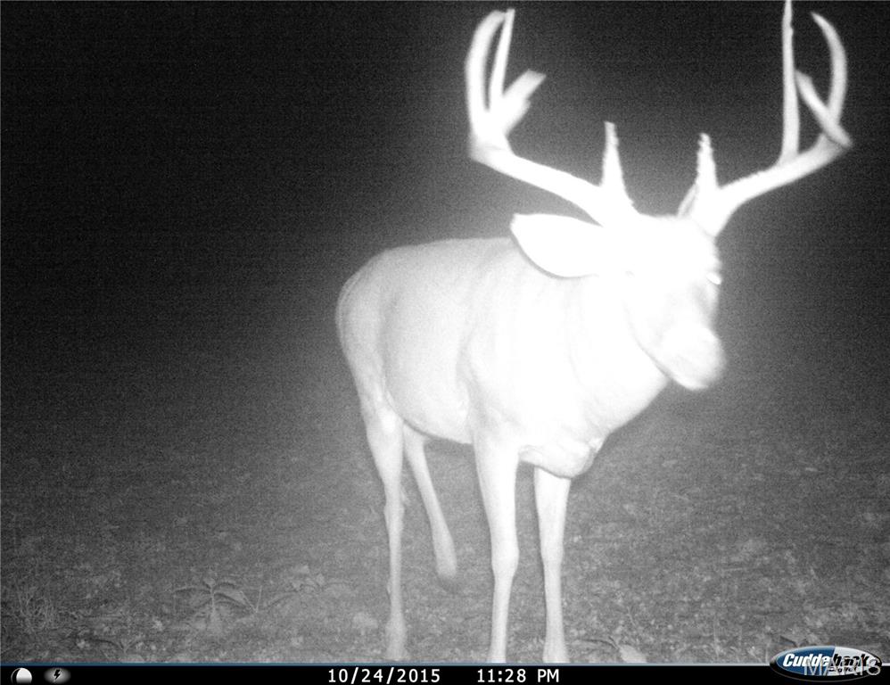 0 Abram Road Hartville, MO 65667 - Photo 95 of 97