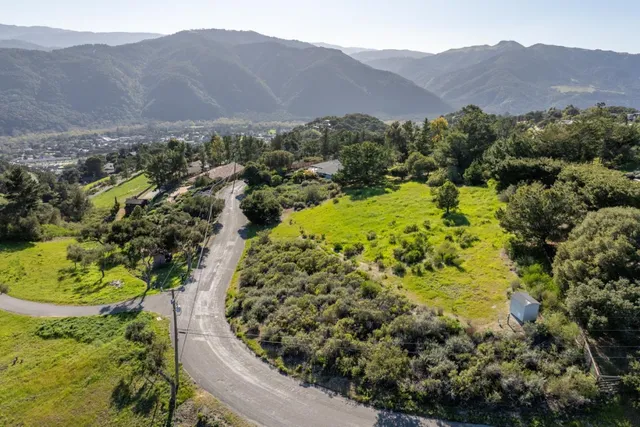 a view of a lush green hillside and a houses