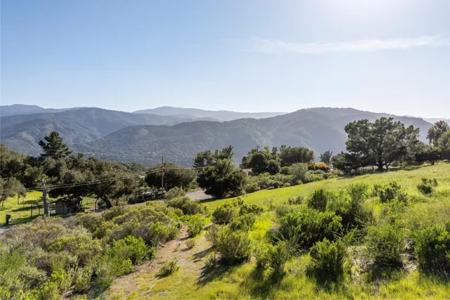 a view of a lush green field with mountains in the background