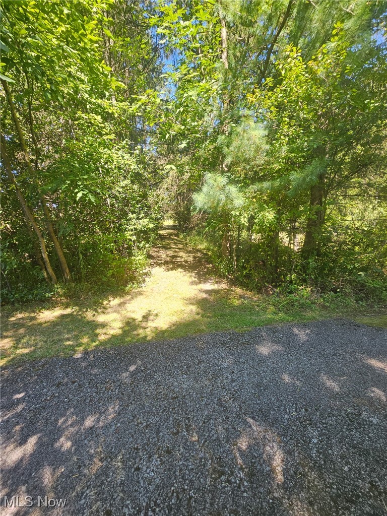 6171 Barrett Road Geneva, OH 44041 - Photo 10 of 38 View of yard with a forest view
