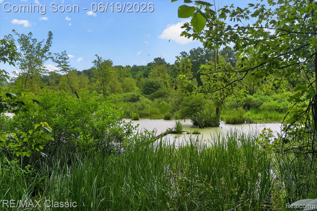12189 Gage Road Holly, MI 48442 - Photo 58 of 69