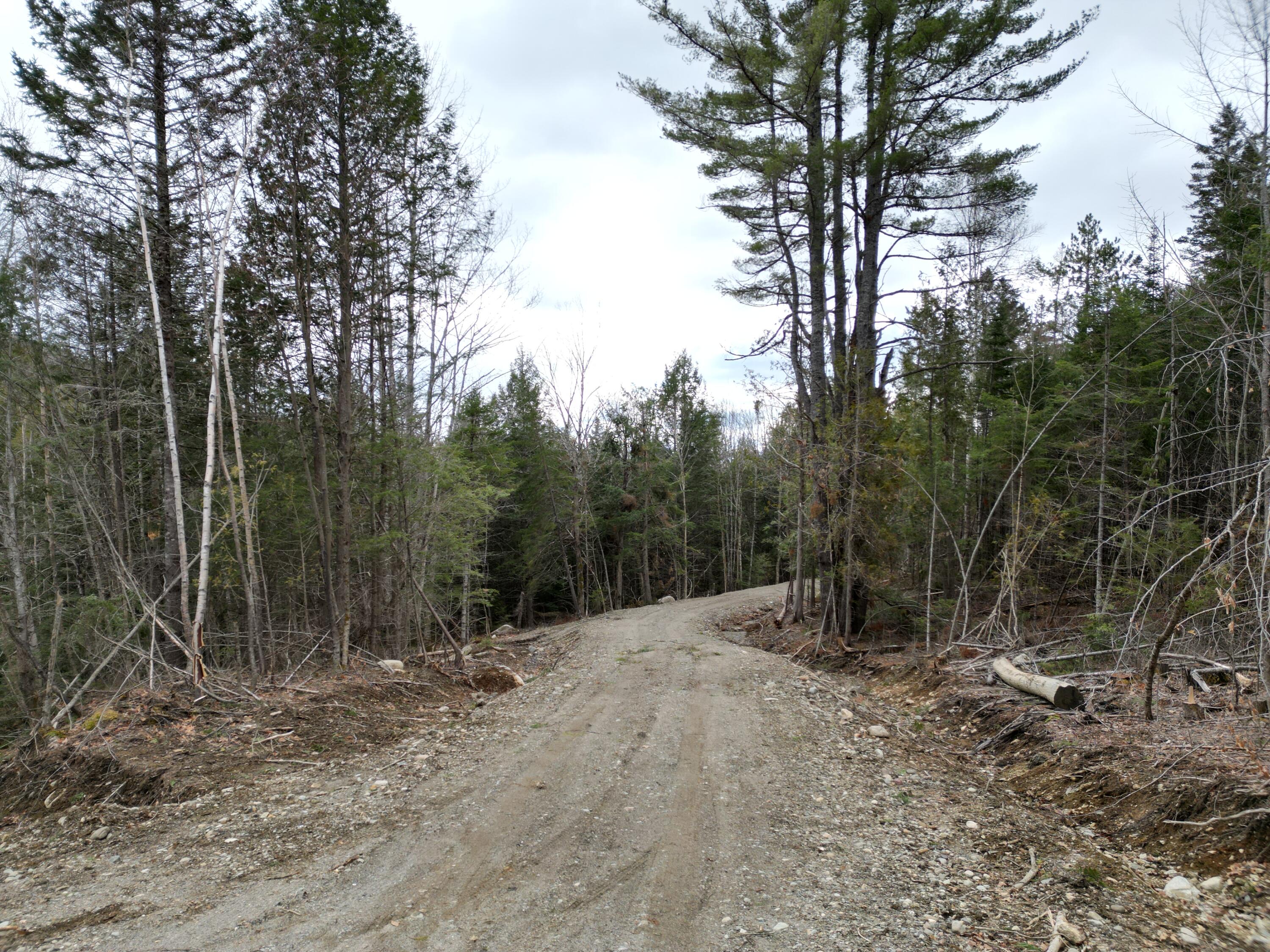 Lot 4 Bill Green Pond Road Lee, ME 04455 - Photo 1 of 16 DJI_0915