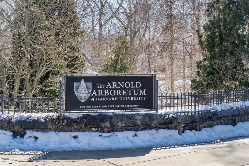 33 Pond Circle Boston, MA 02130 - Photo 24 of 27